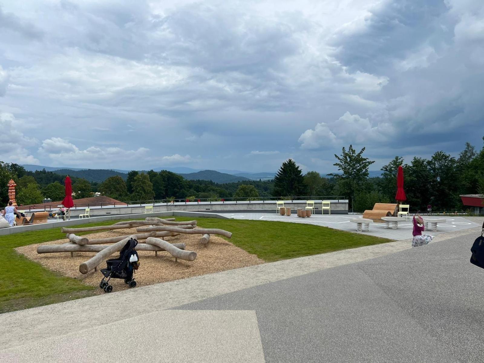 Ferienwohnungen Bayerischer Wald Mit Pool Фрайунг Экстерьер фото